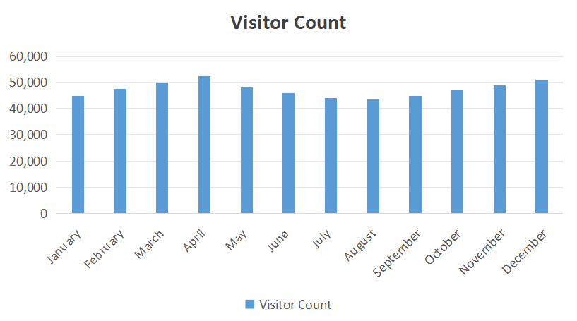 Visitor Count Trend Over 2023